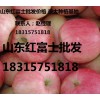 山東紙袋紅富士批發(fā)價(jià)格 紅富士產(chǎn)地價(jià)格