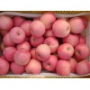 山東哪里紅富士蘋果便宜 紙袋紅富士蘋果基地價(jià)格