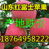 18764958222蘋果產(chǎn)地降價(jià)山東紅富士蘋果現(xiàn)在什么價(jià)格