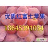 山東萬畝紅富士蘋果一下樹待售，庫存果供應(yīng)