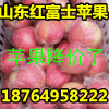 批發紅富士蘋果便宜，山東臨沂蘋果產地，山東最大蘋果基地