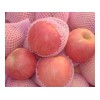 今日紅富士最新價格