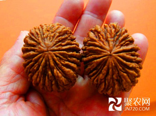 9-配對猴頭核桃-大-100