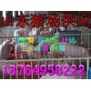 18764958222山東小豬豬場生豬苗豬今日山東仔豬價格