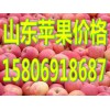 山東冷庫(kù)蘋果批發(fā)今日紅富士蘋果交易價(jià)格