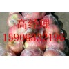 15906332196供應(yīng)山東莒縣冷庫(kù)蘋果