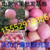 山東水果批發基地