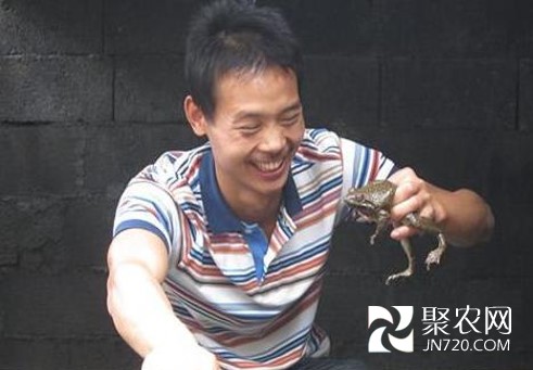 圖片1