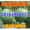１８７６４９５８２２２油桃甜瓜西瓜產(chǎn)地報價/山東蘋果批發(fā)價格