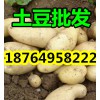 供應(yīng)土豆批發(fā)基地 山東土豆產(chǎn)地 今日土豆價格行情