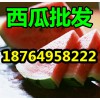 供應(yīng)大棚西瓜產(chǎn)地價格便宜，山東優(yōu)質(zhì)京欣西瓜批發(fā)多少錢