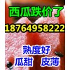 今日西瓜便宜嗎，西瓜批發(fā)價格，山東大棚西瓜產(chǎn)地