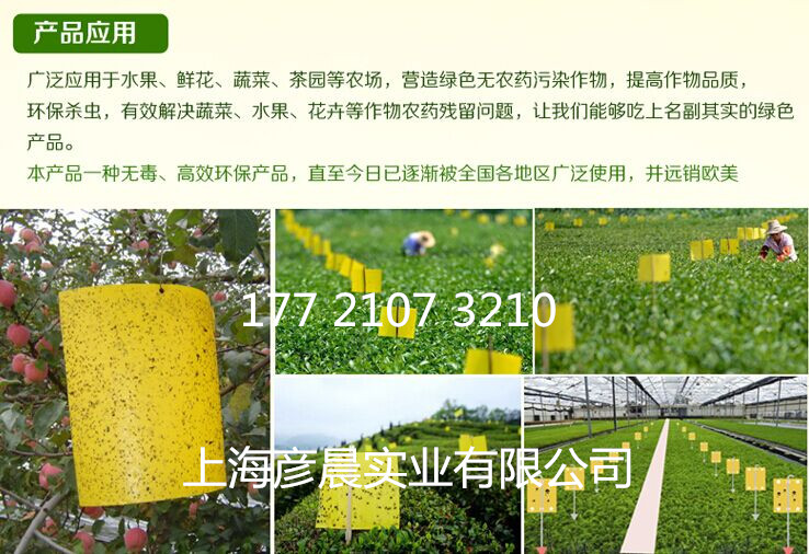批發(fā)供應(yīng) 薊馬高效誘蟲板 藍(lán)色粘蟲板 藍(lán)色誘蟲板規(guī)格齊全