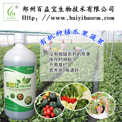 種植EM菌|種植益生菌|EM菌種批發土壤改良菌劑