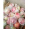 山東蘋果哪里的質(zhì)量好，蘋果市場