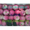 山東紅星蘋果價(jià)格-今日紅星蘋果價(jià)格哪里便宜