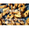 朝陽(yáng)五角楓種子價(jià)格便宜不需承諾