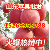 山東美八嘎啦蘋果今日批發(fā)價(jià)格
