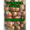 山東省優(yōu)質(zhì)嘎啦蘋果批發(fā)價格