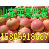 山東紅星蘋果批發(fā)基地價(jià)格