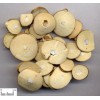 求購(gòu)桑枝