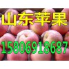 紅星蘋果產(chǎn)地供應(yīng)今日蘋果價(jià)格