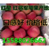 今日紅將軍蘋(píng)果供應(yīng)基地批發(fā)新價(jià)格