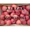 2016年哪里紅富士蘋(píng)果批發(fā)便宜