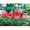 山東蘋果產(chǎn)地供應(yīng)水晶紅富士蘋果13176070985