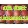 山東紅富士蘋(píng)果供應(yīng)基地-山東紅富士蘋(píng)果批發(fā)信息