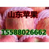 今日紅富士蘋(píng)果產(chǎn)地批發(fā)價(jià)格走勢(shì)