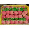 山東蘋果產地直銷紅富士蘋果13176070985