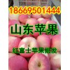 今日紅富士蘋果降價供應(yīng)