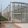 溫室大棚建造費(fèi)用，溫室大棚造價(jià)