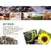 價格合理的炒貨批發(fā)【山東】 鹵味花生廠家