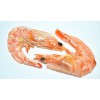 寧德新品即食海產(chǎn)品供應(yīng)    ，休閑海產(chǎn)品廠家