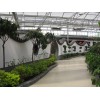 生態溫室建造廠家 生態溫室怎么樣