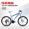 深圳信譽好的30速山地車供應商|專業的變速山地車