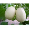 搶了啊?。?！新鮮又好吃的蔬菜盡在滿義蔬菜農(nóng)場(chǎng)