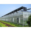淄博信譽好的淄博連棟溫室工程建造公司是哪家：連棟溫室建造
