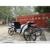 洛陽(yáng)矮馬馬車，河南哪里有供應(yīng)價(jià)格適中的矮馬馬車