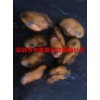 服務(wù)好的水產(chǎn)品智能烘干機定制服務(wù)找哪家——智能烘干機哪家好