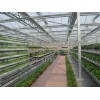 棗莊育苗溫室工程：山東創新型的育苗溫室