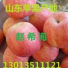 條紋紅富士蘋果產(chǎn)地批發(fā)價(jià)格