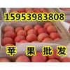 供應(yīng)紅富士蘋果今日價格