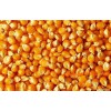 湖南飼料廠華姐收玉米