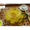 熱帶睡蓮——專業(yè)香水蓮市場(chǎng)價(jià)格情況