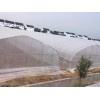 供應山東實用的農膜：臨沂農膜