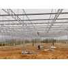 專業、又省錢！找旭豐溫室！【溫室工程  溫室大棚 溫室大棚建設】