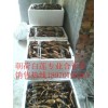 供應(yīng)贛州優(yōu)質(zhì)的高產(chǎn)蓮蓬苗：高產(chǎn)鐵蓮種子，高產(chǎn)蓮蓬苗專賣(mài)店